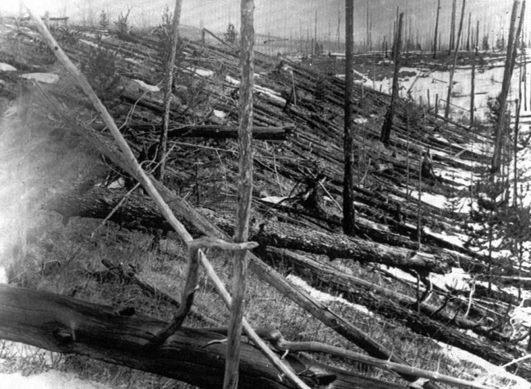 Výbuch polámal miliony stromů v oblasti rozsáhlé 2000 km².