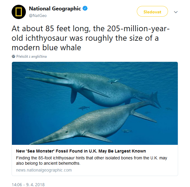 O objevu informoval jako jeden z prvních National Geographic na svém Twitteru. Zdroj: Twitter/National Geographic