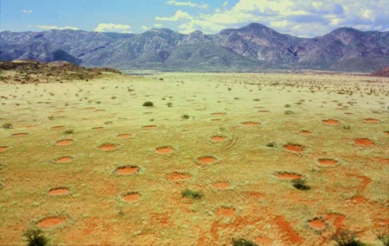 Vědci si lámou hlavu s tím, proč je poušť samá 