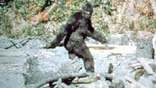 Bigfoot je i po desítkách let stále záhadou.