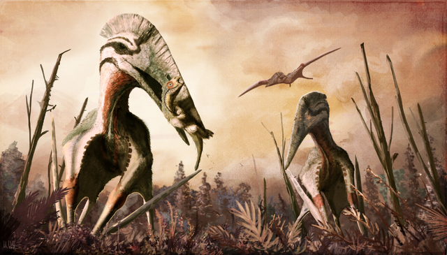 Z mnoha částí Afriky přicházejí zprávy o pozorování tvorů podobných dávným pterosaurům.