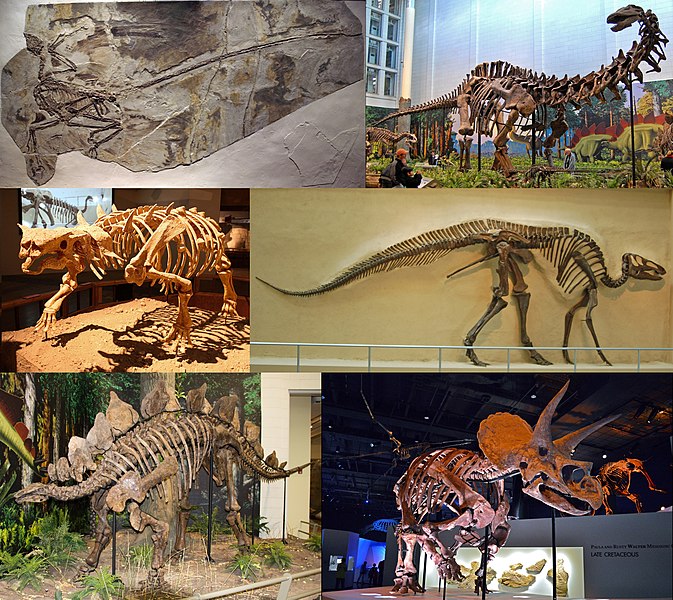 Montáž fosilií šesti různých dinosaurů, zachycující různorodost této skupiny