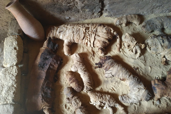 Mumifikované kočky nalezené v oblasti kolem vesnice Sakkára