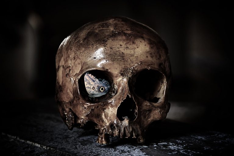Komu patřily kosti, které byly nalezeny v Líšně? (ilustrační foto)