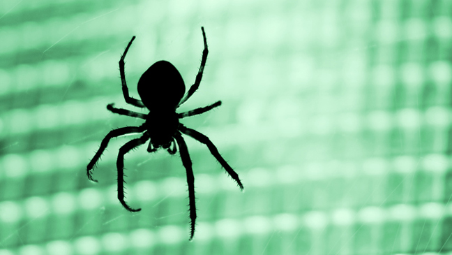Skeptici věří, že za vším jsou obyčejní pavouci.