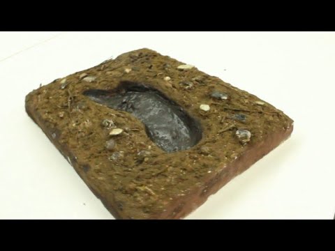 Určení původu nohou je komplikované, protože oceánské proudy mohou unášet plovoucí předměty na velké vzdálenosti.