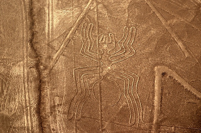 Co zobrazují Nazca Lines?