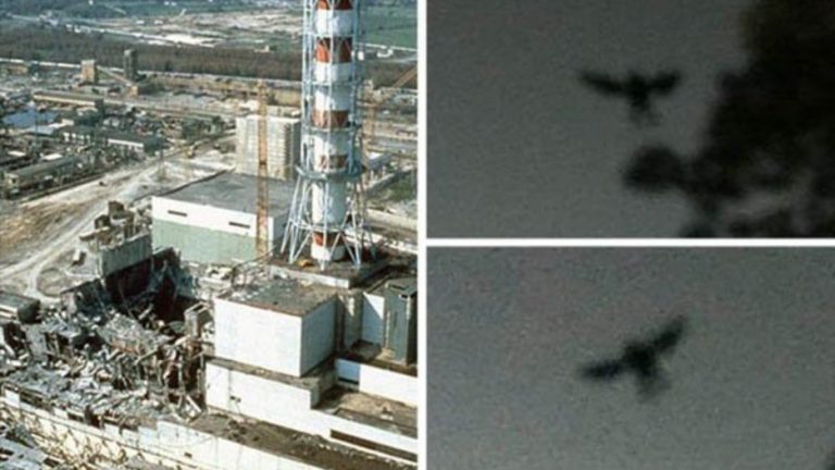 Co se nad budovou jaderné elektrárny skutečně prolétlo? Byl to mystický drozd, nebo jen obyčejný pták?