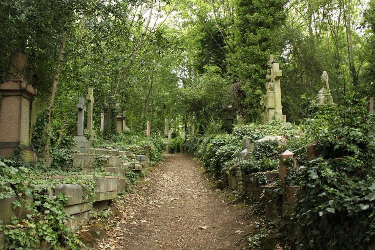 Hřbitov Highgate