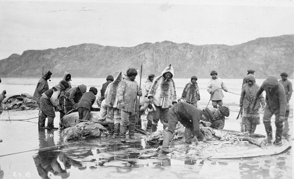 Šlo o místo, kde se kdysi setkávali inuitské kmeny?