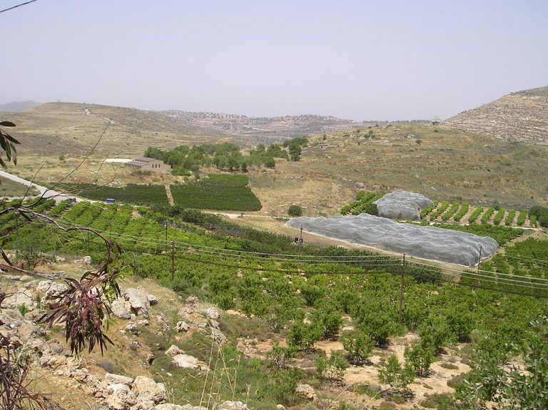Pátrání archeologů se nyní zaměřilo na místa, kde ve starověku stálo izraelské město Shiloh.