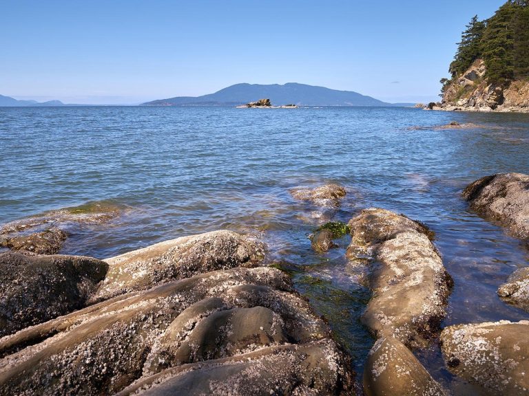 Sališské moře je pásem studené vody oddělující pobřeží Kanady a Vancouver Island.