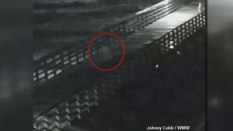 Lokálními médii před časem proběhla zpráva, že kamera na molu zachytila ducha. Byl to takzvaný Šedý muž?