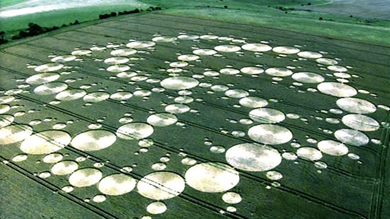 Kruhy v obilí jsou celosvětovým fenoménem.