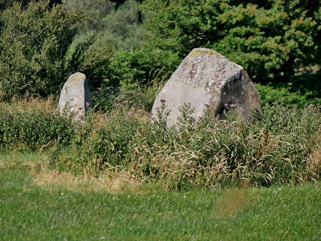 Kameny přestěhovaly na trase dlouhé 290 km.