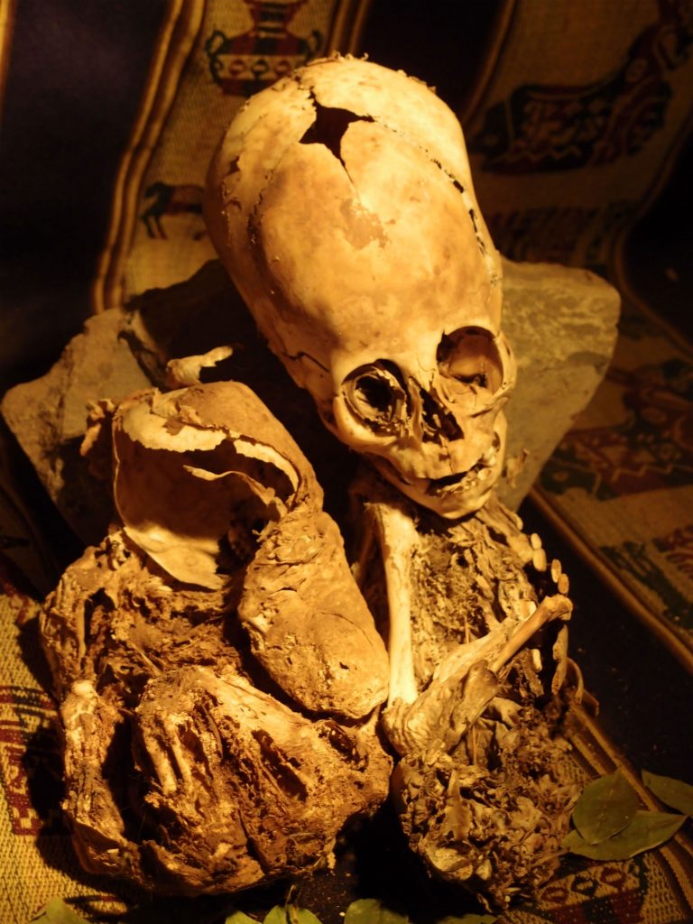 Jsou nalezené ostatky ve skutečnosti důkazem, že moderní člověk vzešel z potomků lidí a mimozemšťanů?