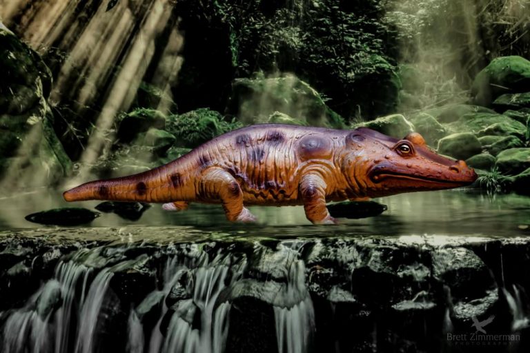 V úvahu by připadal i dinosaurus připomínající mybrida mezi žábou a krokodýlem - Mastodontosaurus.