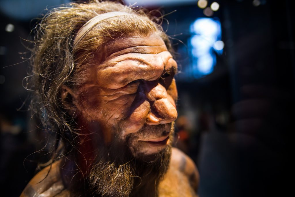 Rekonstrukce kostí dovolila vědcům znázornit přesnou podobu Denisovanů.Foto: Earth.com