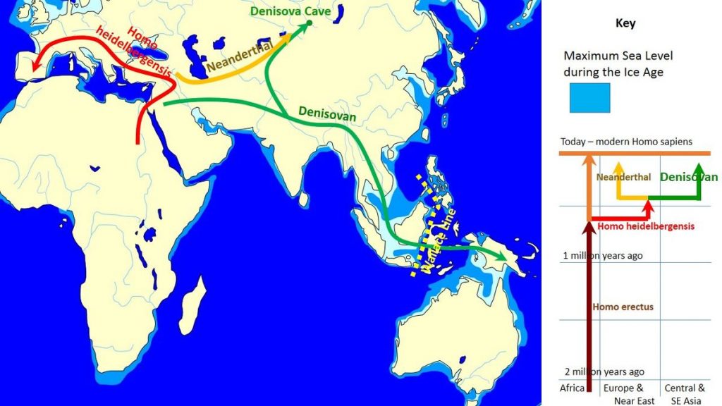 Mapa ukazuje, jak předchůdci člověka migrovali a křížili se.Foto: wikipedia commons