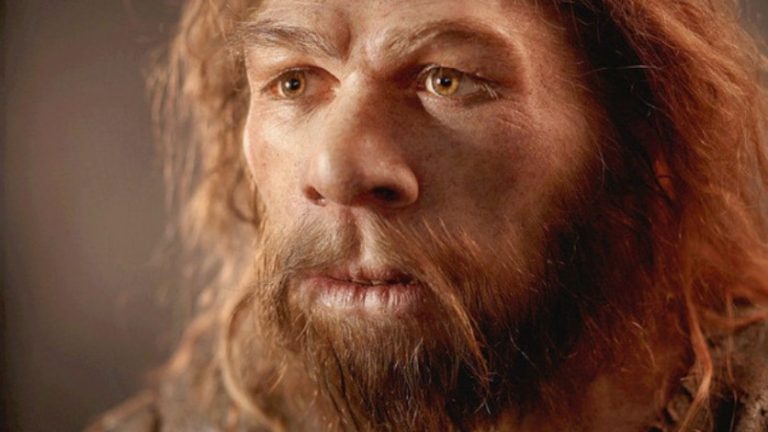 Homo antecessor, foto: news.culturacolectiva.com