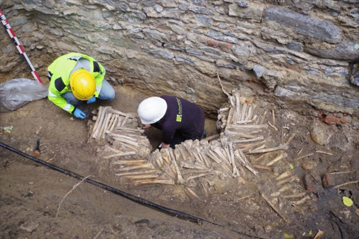Zdi z kostí byly objeveny při stavbě nového turistického centra, foto Ruben Willaert
