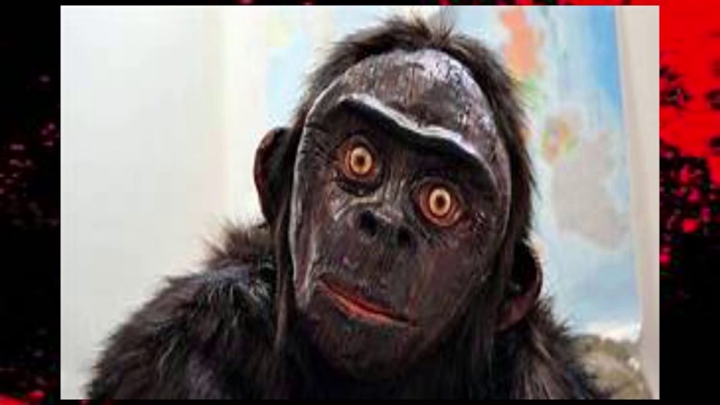 Podobizna děsivého opičího muže ZDROJ: youtube.com
