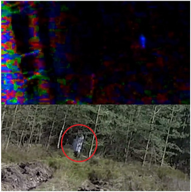 Přízračnou postavu se v tomto lese podařilo natočit i skupině lovců duchů v roce 2015. Foto: wowamazing.com