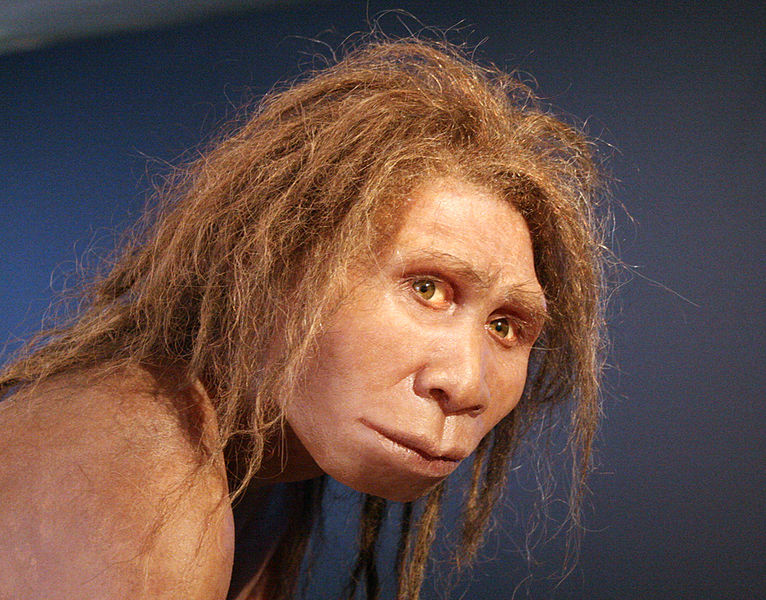 Rekonstrukce tváře ženy, foto: Wikimedia Commons