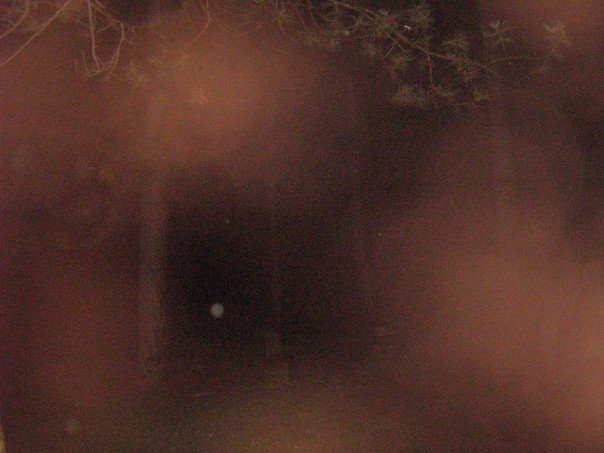 Snímek zachycující záhadnou světélkující kouli byl pořízen v roce 2007. Foto: Wikimedia Commons