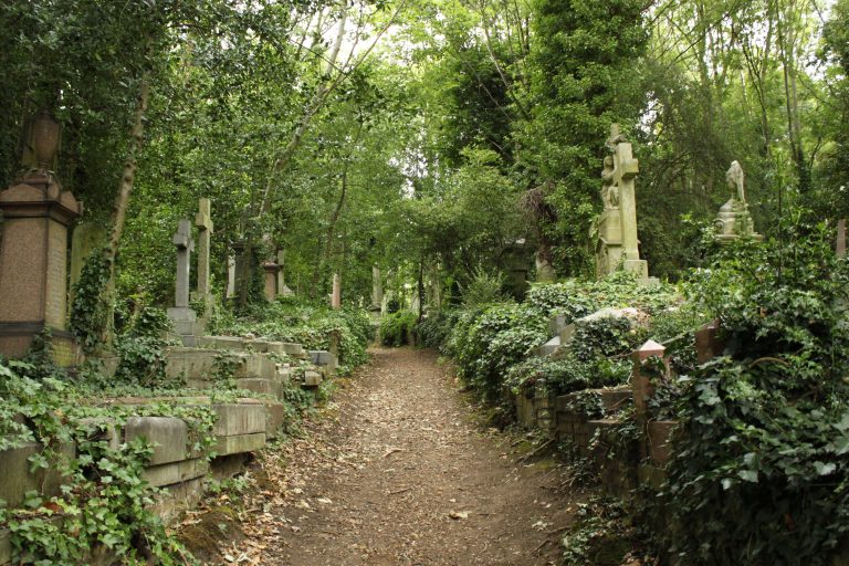 Hřbitov Highgate. Foto: Wikimedia Commons.