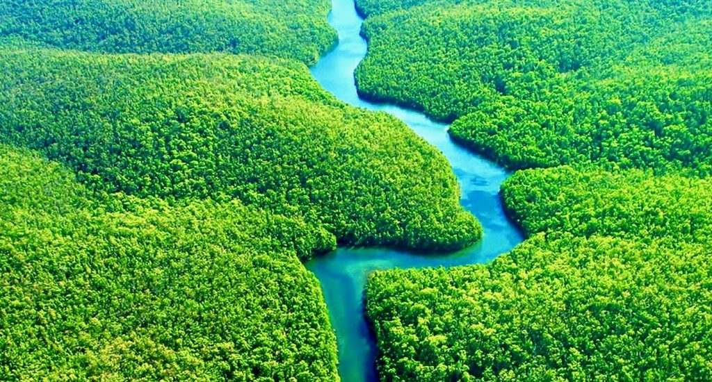Ničení amazonského pralesa je katastrofou pro naši planetu. Je šance na to, že se ho ještě povede zachránit? Foto: rawstory.com