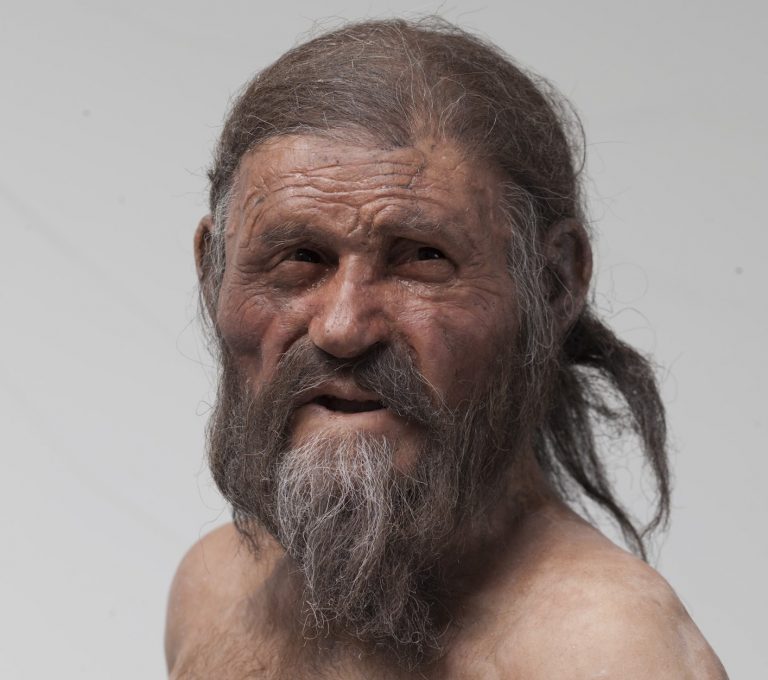 Zrekonstruovaná podoba Ötziho.
