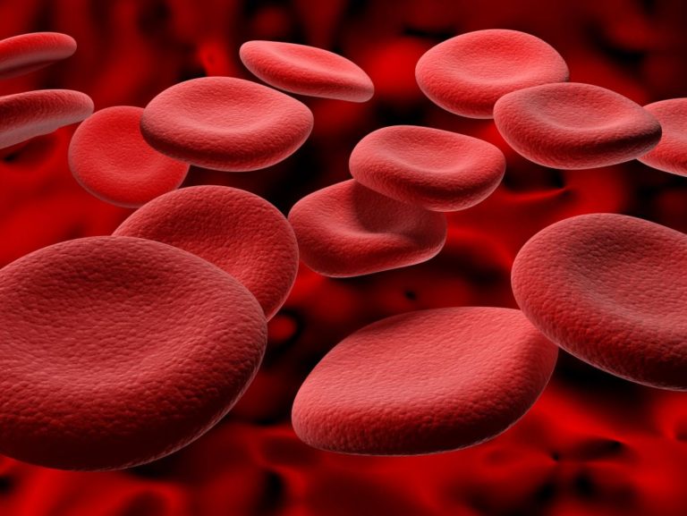 Chybí v krvi černé šlchty hemoglobin? Foto: medicalnewstoday.com