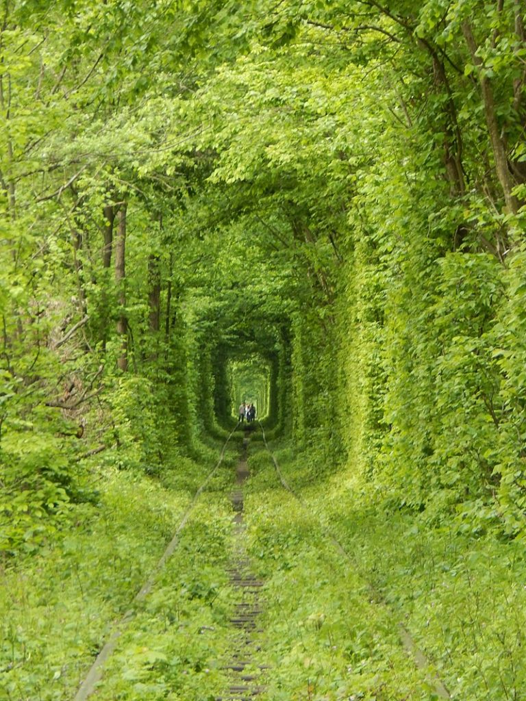 Pohled na tunel lásky FOTO: Wikimedia Commons