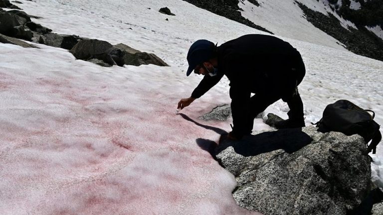 Vědci odebírají vzorky růžového sněhu, foto Euronews.com