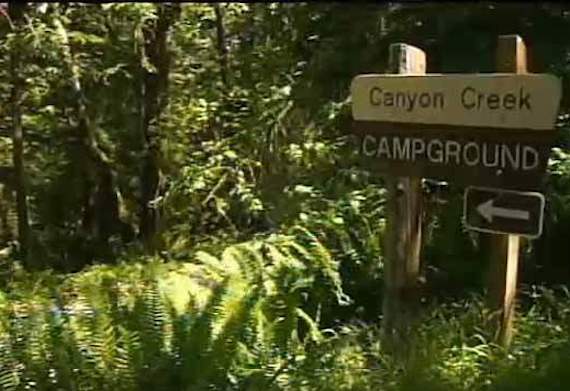 Canyon Creek je území plné prudkých srázů a neprostupné přírody ZDROJ: mysteriousuniverse.com