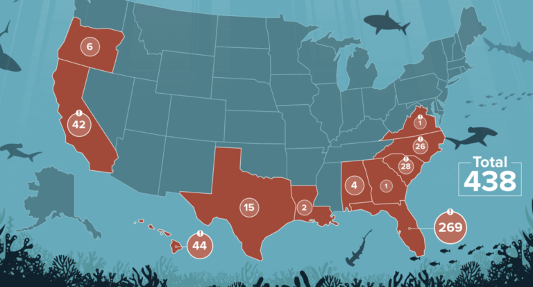 Grafika ukazuje počet útoků žraloka podél amerického pobřeží mezi roky 2000-2009, nejvíce případů je v Kalifornii a na Floridě. Foto: trackingsharks.com
