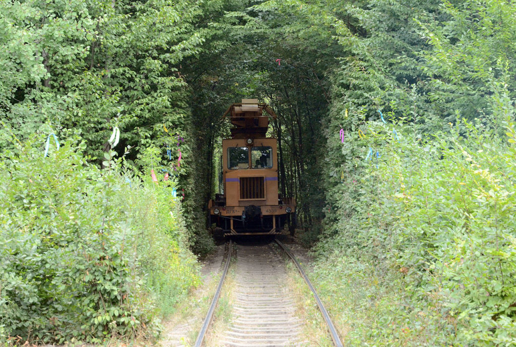 Tunelem projíždějí vlaky FOTO: Wikimedia Commons