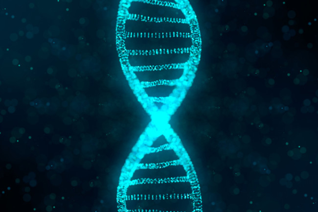Zrazují nás vlastní geny? Foto: discovermagazine.com