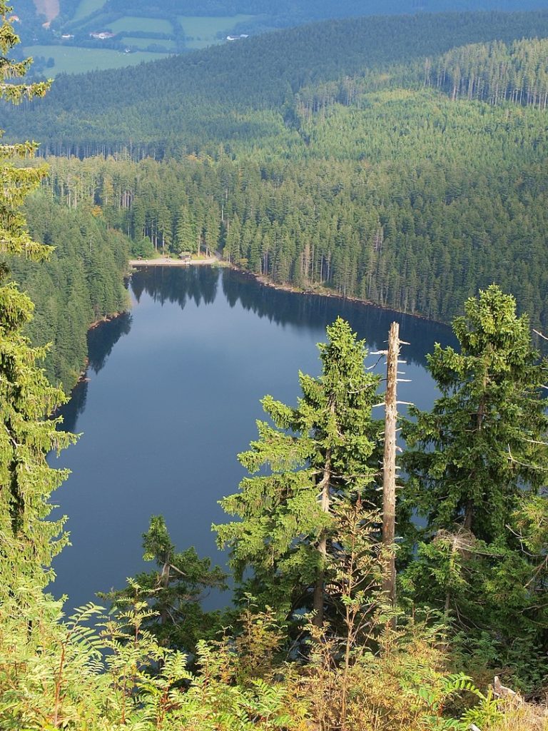 Černé jezero na Šumavě. Foto: wikipedia commons