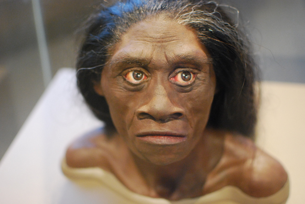 Ženy dřívějších druhů rodu homo celkem odpovídají popisu divoženek, foto ancient.eu