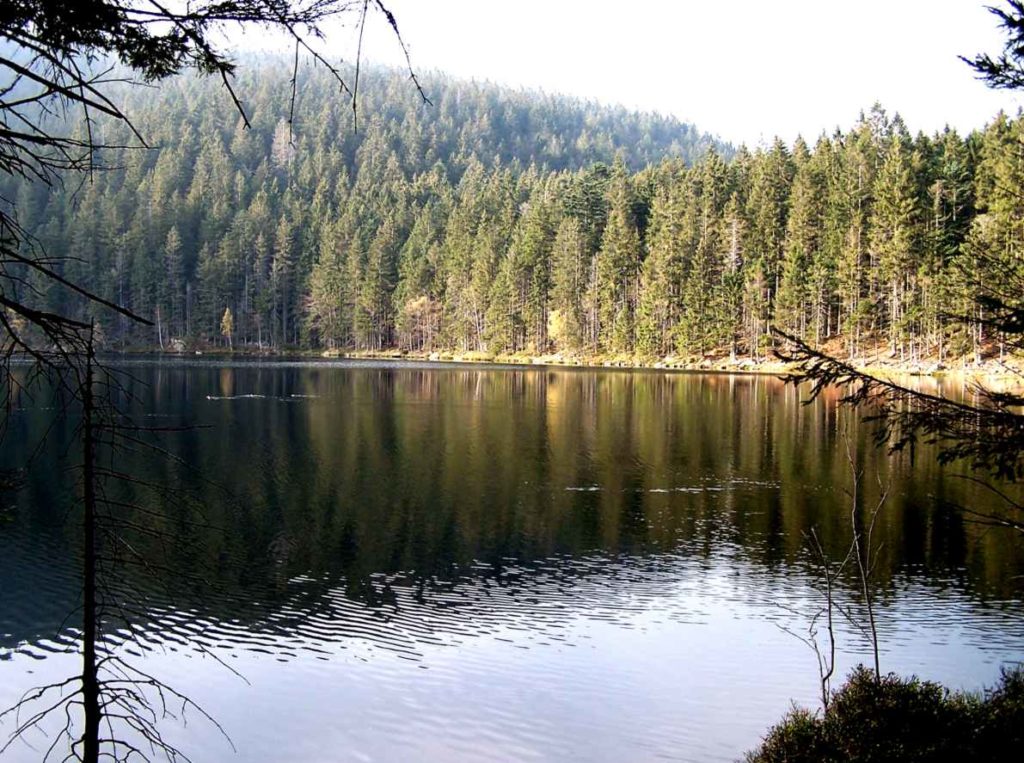 Čertovo jezero na Šumavě. Foto: wikipedia commons