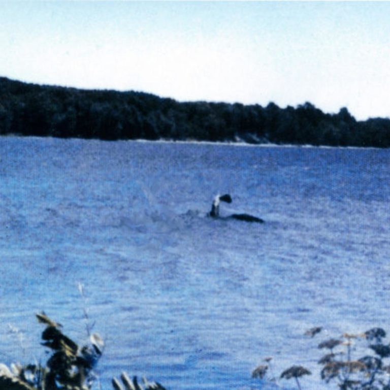 Zřejmě nejslavnějším snímkem jezerního monstra je fotografie Američanky Sandry Mansi pořízená v roce 1977. Foto: poststar.com