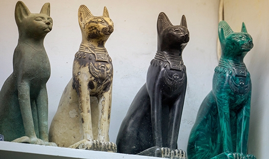 Ve starověkém Egyptě měly kočky významné postavení. Foto: aaha.org