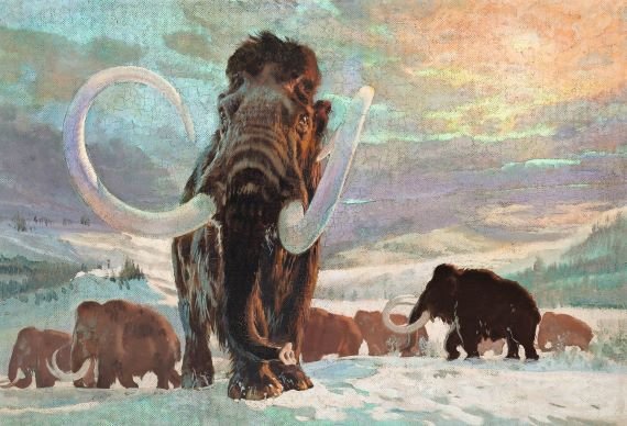 Jak dlouho mohla tato prehistorická zvířata přežít? ZDROJ: mysteriousuniverse.com