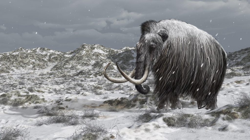 Potkali vojáci na Uralu opravdového mamuta? ZDROJ: mysteriousuniverse.com