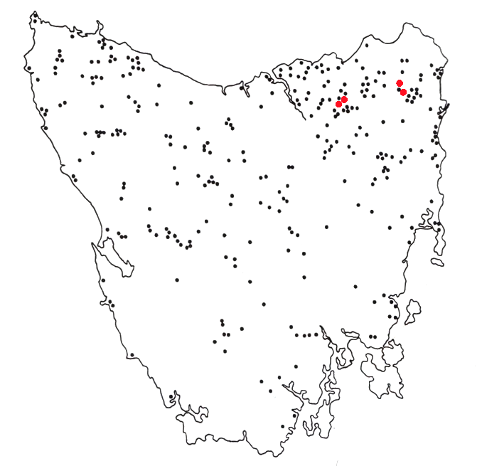 Mapa pozorování vakovlka v Tasmánii mezi lety 1936 – 1980, foto Wikimedia Commons