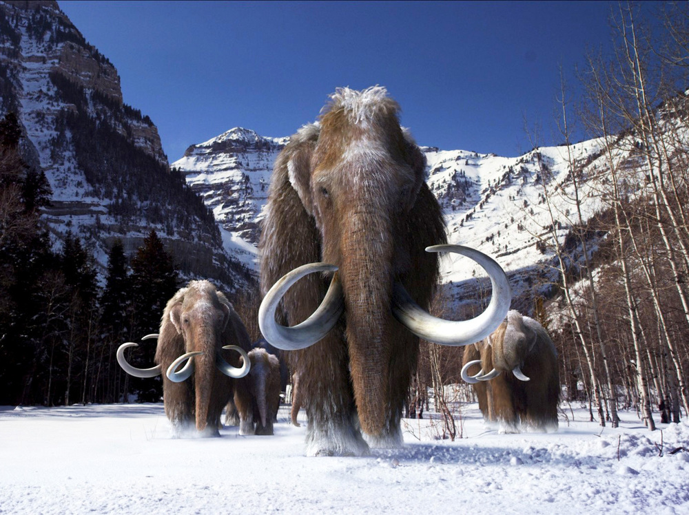 Mohlo do 19. století přežít v USA celé stádo mamutů?