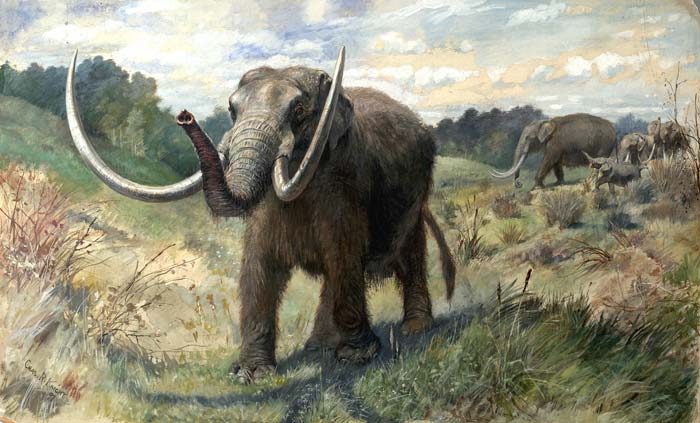 Umělecké vyobrazení mastodonta, foto Wikimedia Commons
