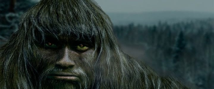 Stejně jako v Bigfoota, věří dodnes v Almase mnoho lidí. ZDROJ: mysteriousuniverse.com